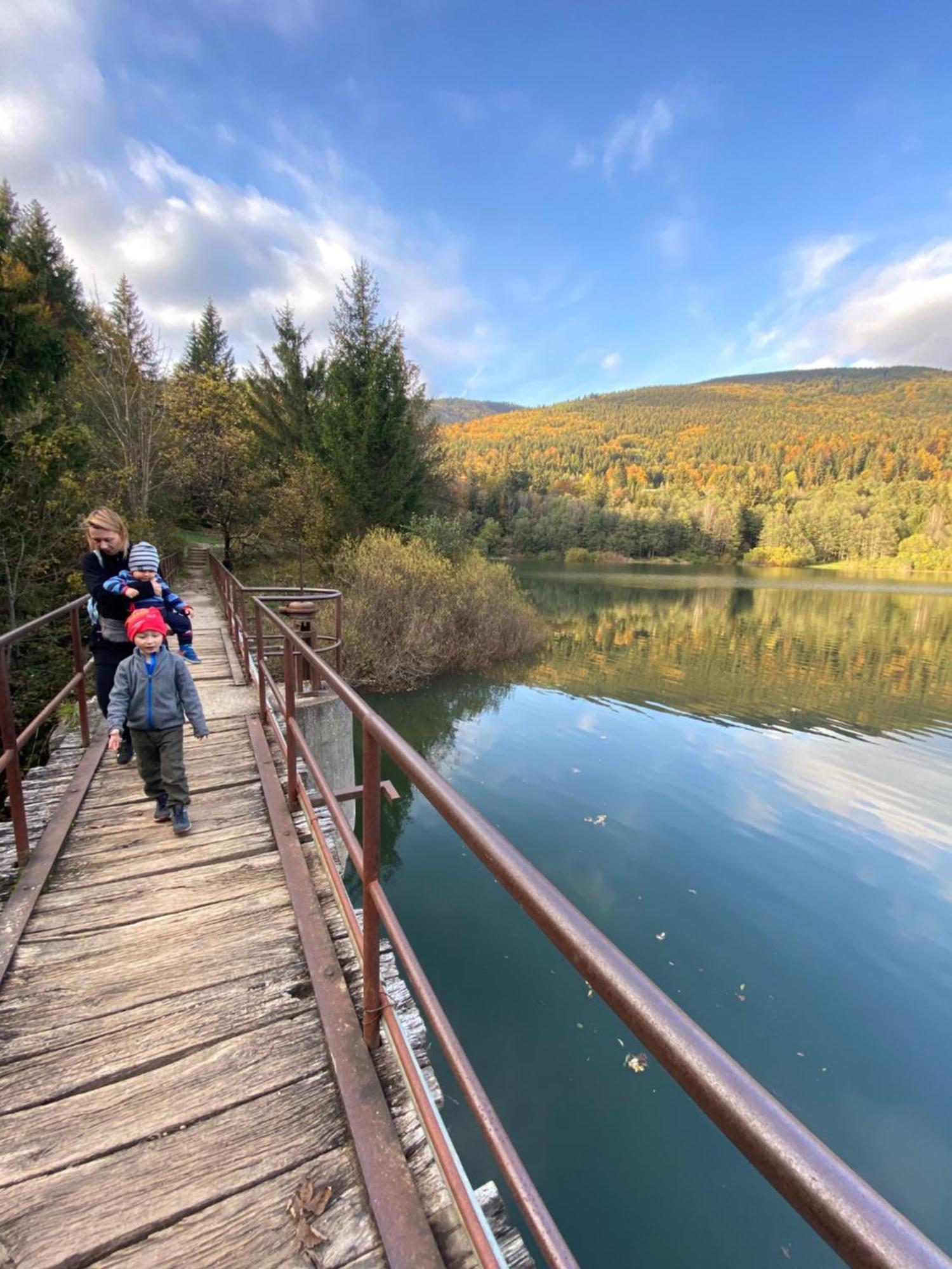 Drevenica Emilka, 5 Min Restauracia, Z Terasy Vyhlad Na Kralovu Holu A Polomske Ocko, Gril, Ohnisko, Kotlik Villa Брезно Екстериор снимка