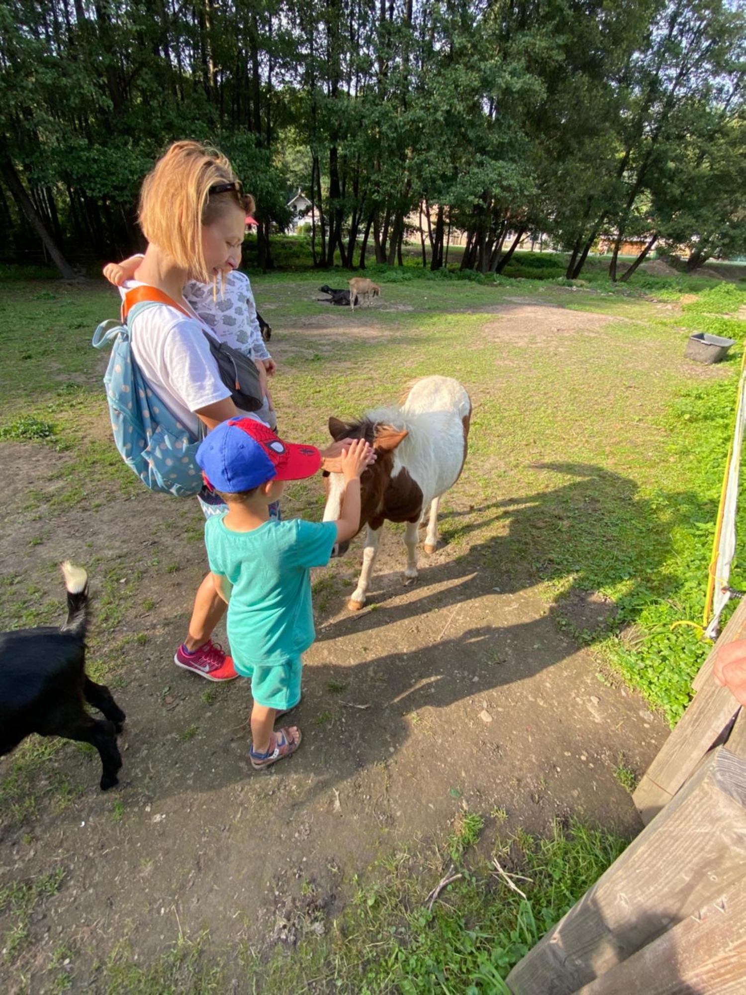 Drevenica Emilka, 5 Min Restauracia, Z Terasy Vyhlad Na Kralovu Holu A Polomske Ocko, Gril, Ohnisko, Kotlik Villa Брезно Екстериор снимка